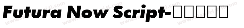 Futura Now Script字体转换